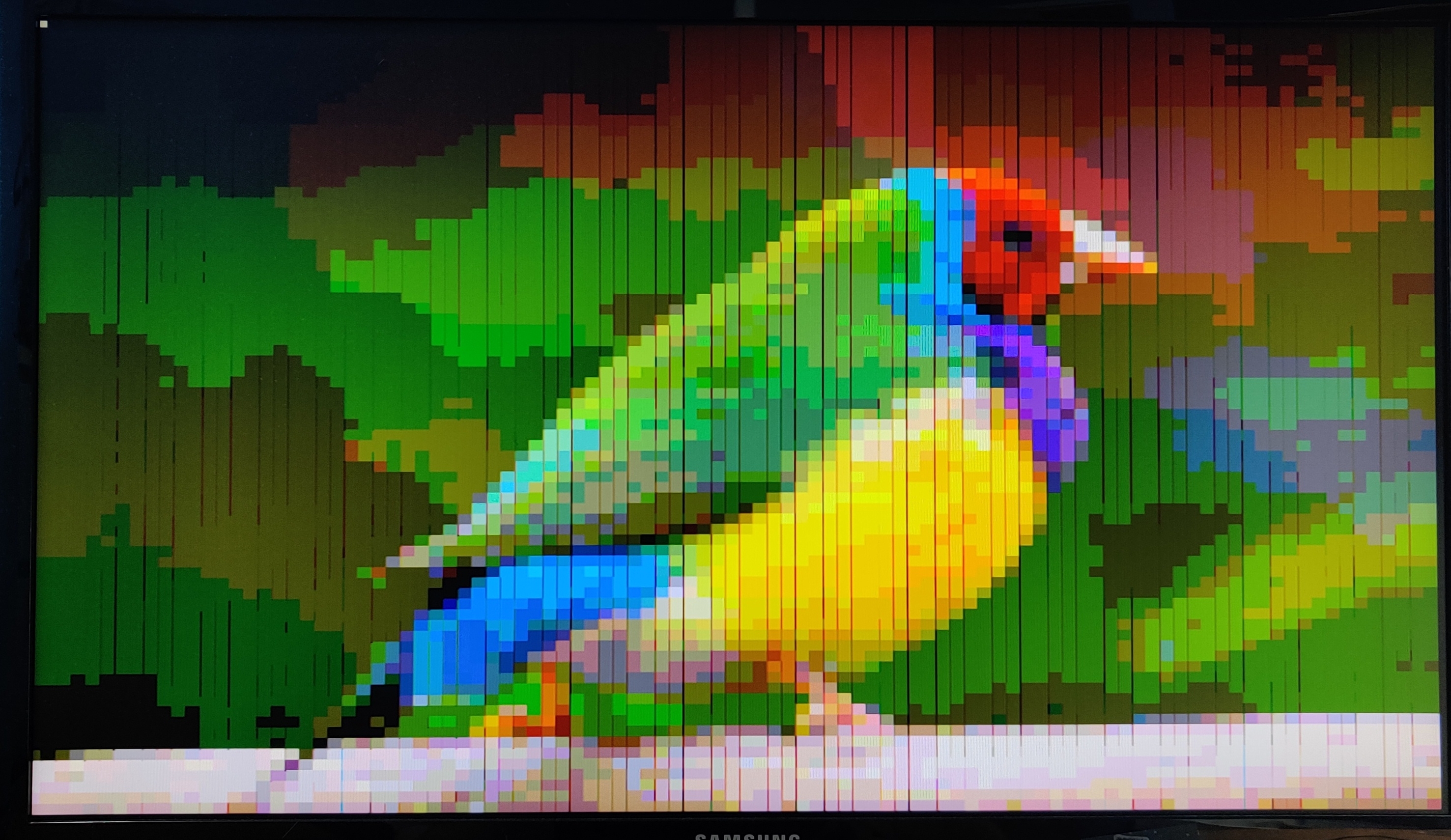 Finch Image Result
